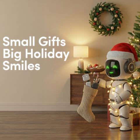 Small Gifts Big Holoday Smiles
