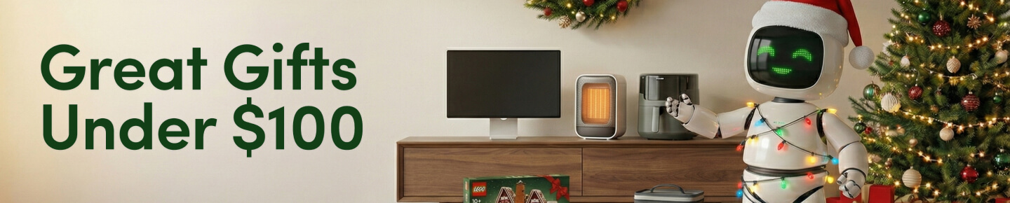 Great Gifts Under $100