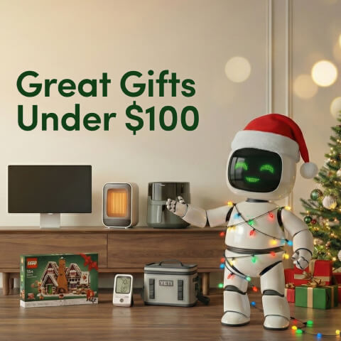 Great Gifts Under $100