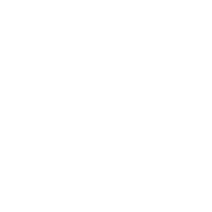 Laundry Icon