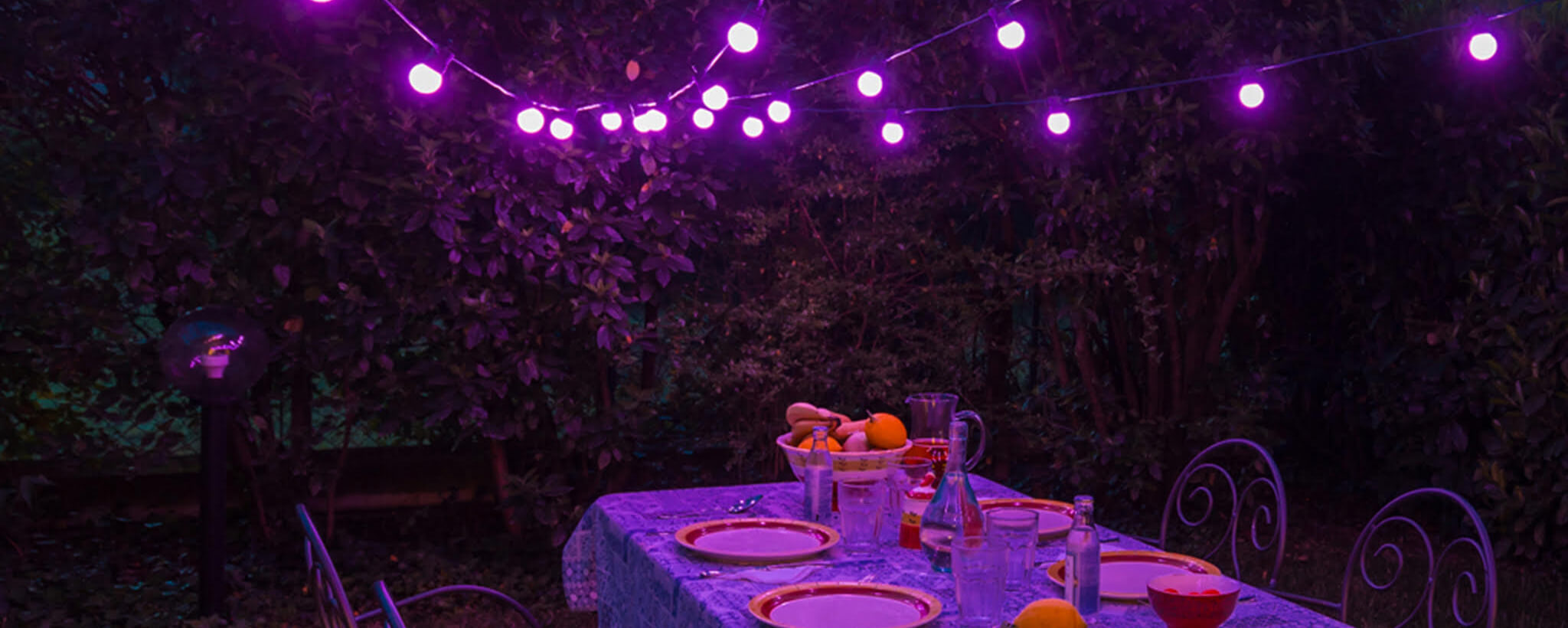 Twinkly Purple Lights over Table