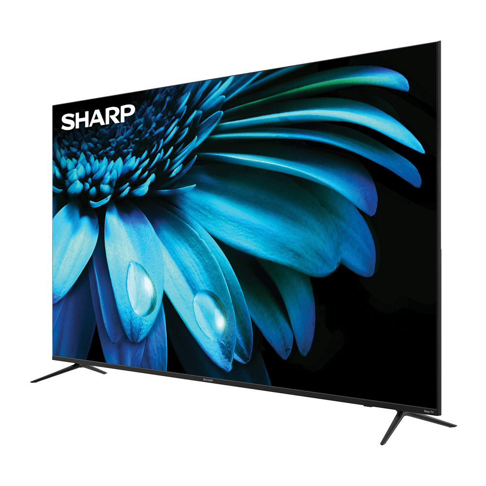 Sharp tv with flower infill