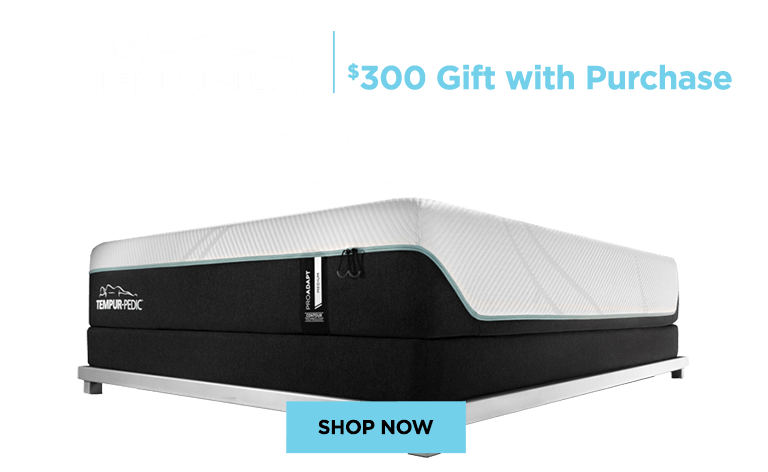 Tempur-Pedic Up To 24 Months Special Financing