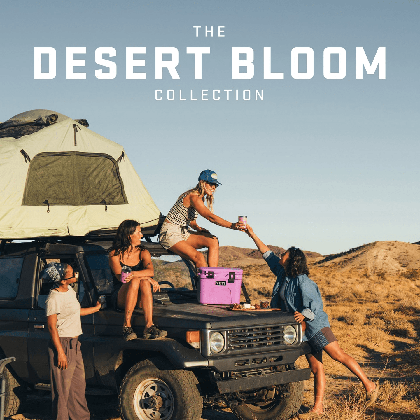 Desert Bloom yeti products