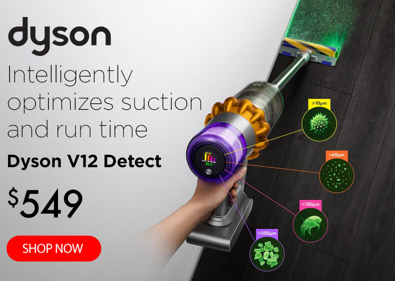 Dyson V12 Detect