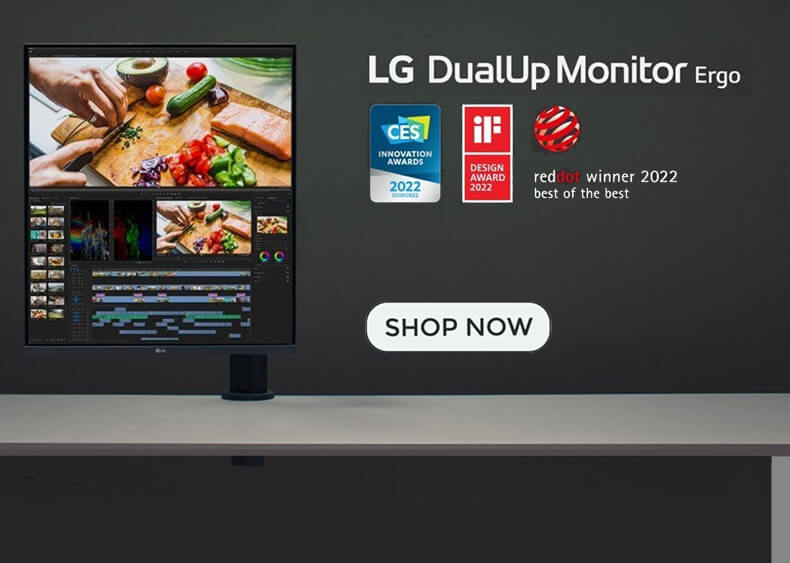 LG DualUp Monitor